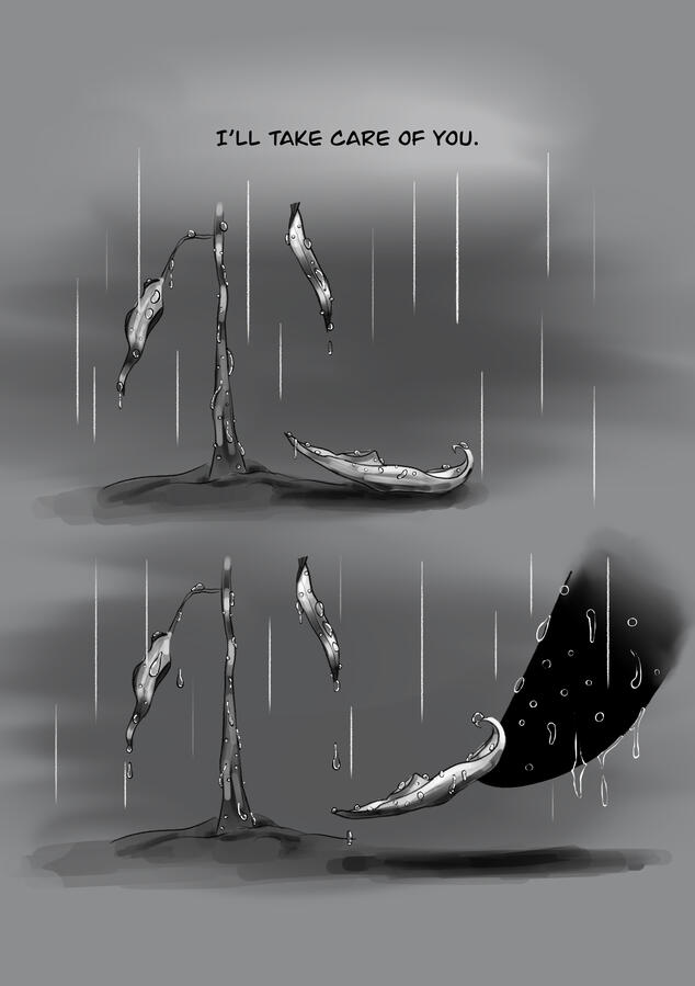 rain 3